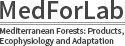 Mediterranean Forests: Products, Ecophysiology and Adaptation
